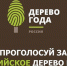 Жителей Ивановской области приглашают принять участие во Всероссийском конкурсе «Российское дерево года» - Наше время
