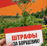 С 1 марта владельцам земельных участков грозит штраф за распространение борщевика - Тейковский район